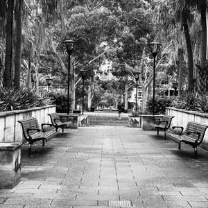 Meet your Posher, Marcellus